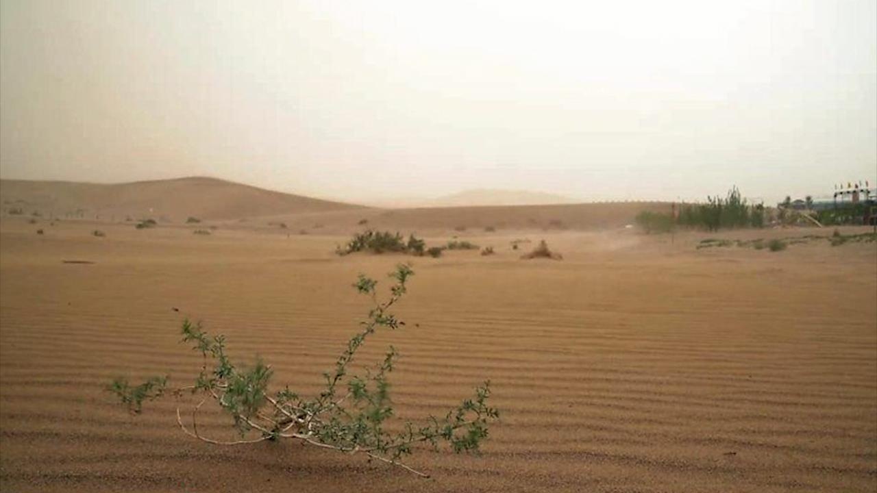 Cuoc chien cua TQ ngan chan sa mac lan rong, chon vui cuoc song hinh anh
