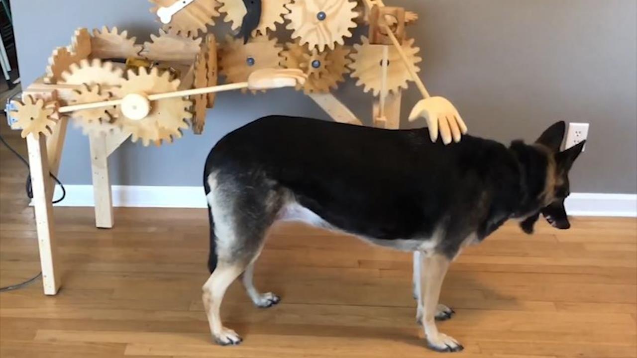 'May vuot ve' tien loi giup thu cung gai ngua khi chu vang nha hinh anh