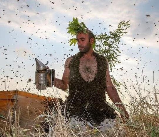 Nguoi dan ong Tho Nhi Ky de 10 kg ong bam tren co the hinh anh