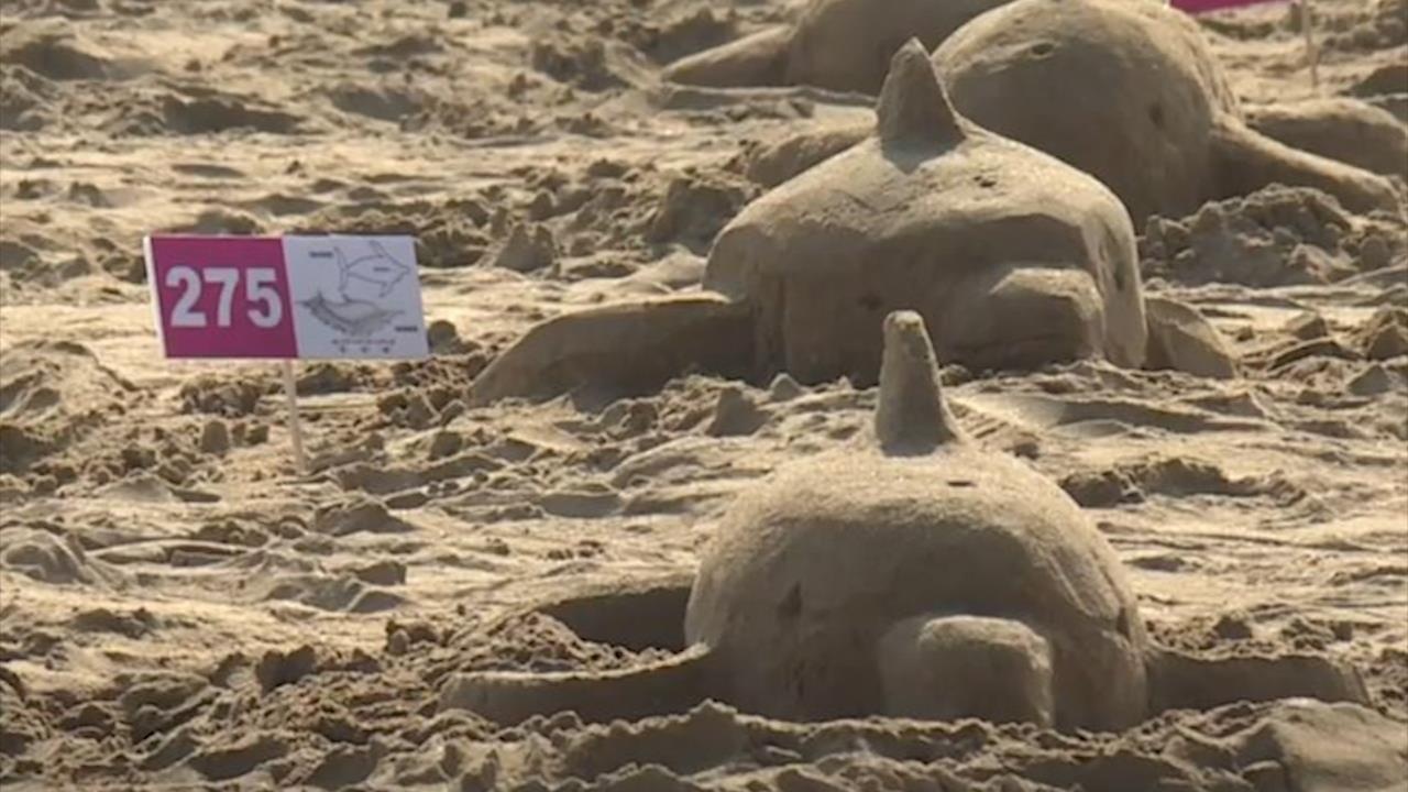 Gan 300 nguoi dap tuong cat de lap ky luc Guinness tai Dai Loan hinh anh