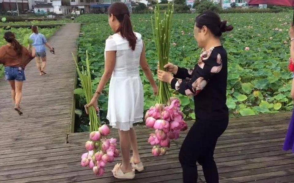 Dong cua cong vien vi du khach vo y thuc hinh anh