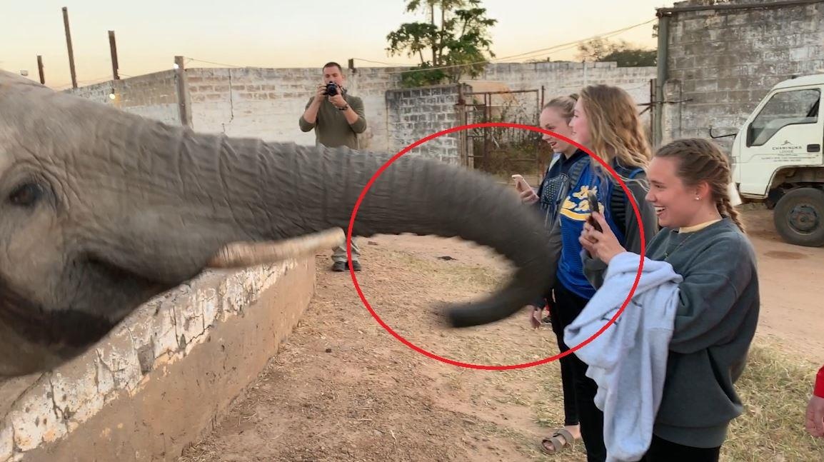 Khong cho chup anh, voi danh bat dien thoai cua du khach hinh anh