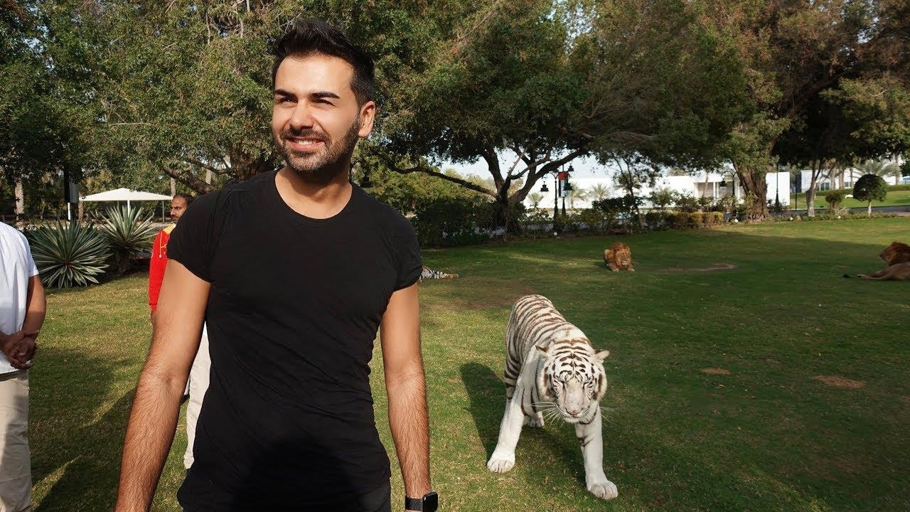 Tham dinh thu Hoang gia Dubai, noi ho, su tu di lai trong nha hinh anh