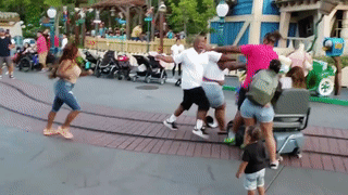 Phu huynh danh nhau quyet liet truoc mat tre nho trong Disneyland hinh anh