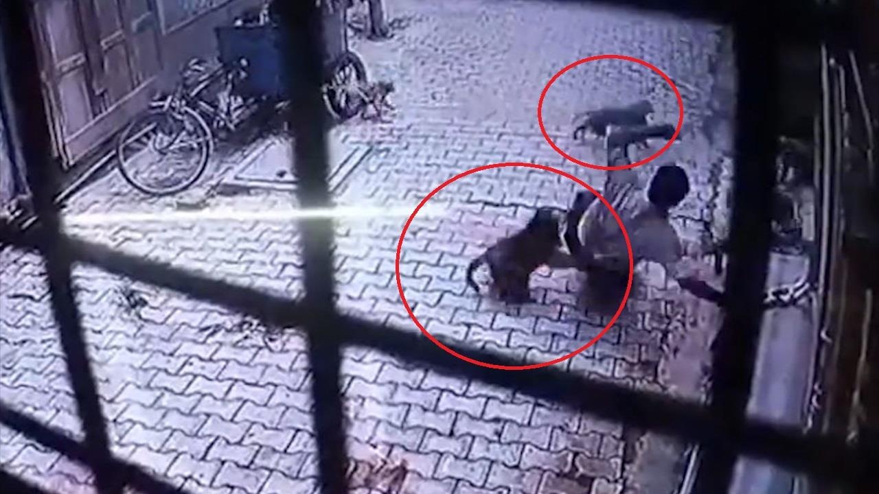 Khoanh khac bay khi dot ngot tan cong nguoi dan ong An Do hinh anh