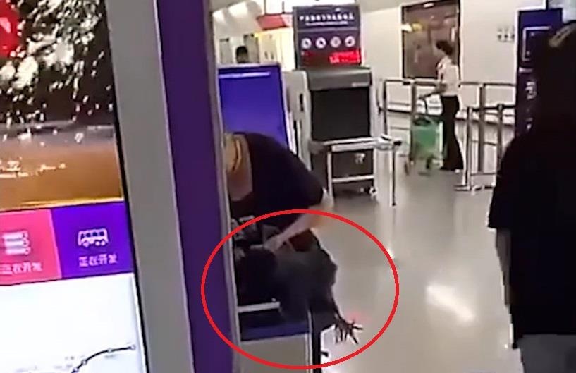 Bi cam mang ga song len tau, nguoi phu nu cat tiet ga tai san ga hinh anh