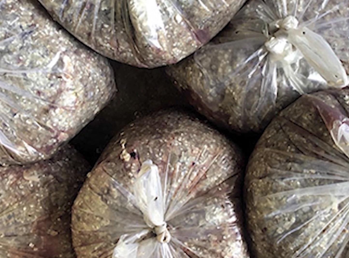 Thuong lai bi hiem tranh mua vay ca gia cao tai mien Tay hinh anh