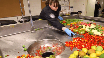 Cach san bay xu ly hang tan thuc pham khong duoc phep mang vao My hinh anh