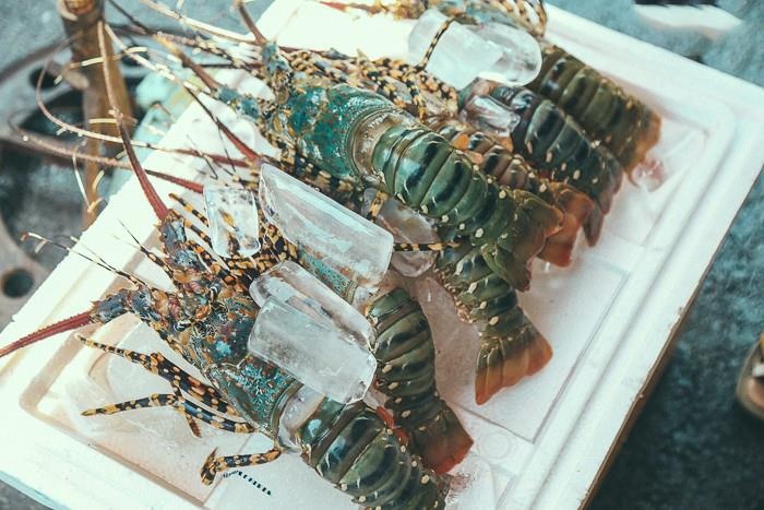 Tom hum gia re cua My tim cua vao Viet Nam hinh anh