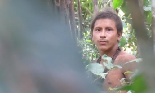 Hinh anh hiem hoi cua bo lac chi con 80 nguoi o Amazon hinh anh