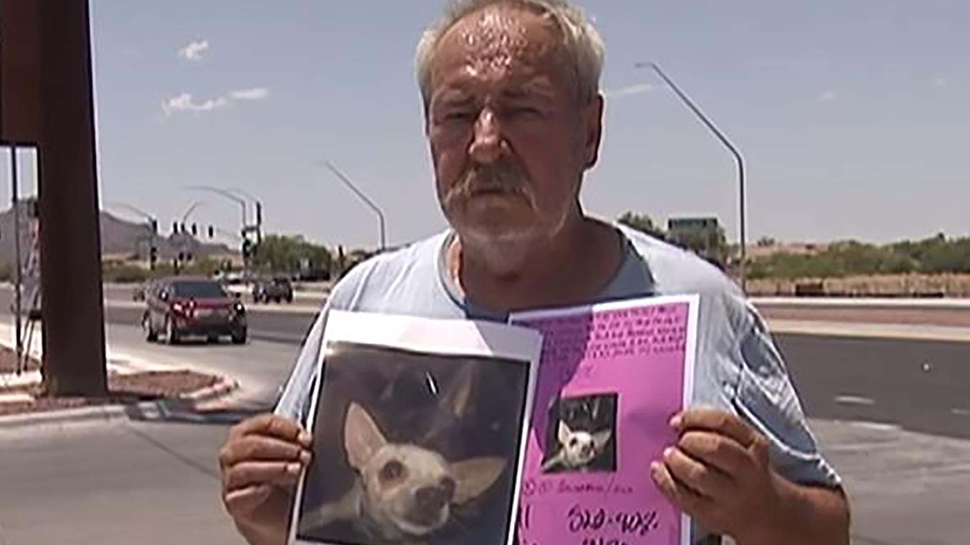 Chu hua tang nha dat cho ai tim duoc cho cung that lac hinh anh