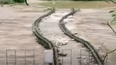 Lu lon cuon troi ca cau sat o Trung Quoc hinh anh