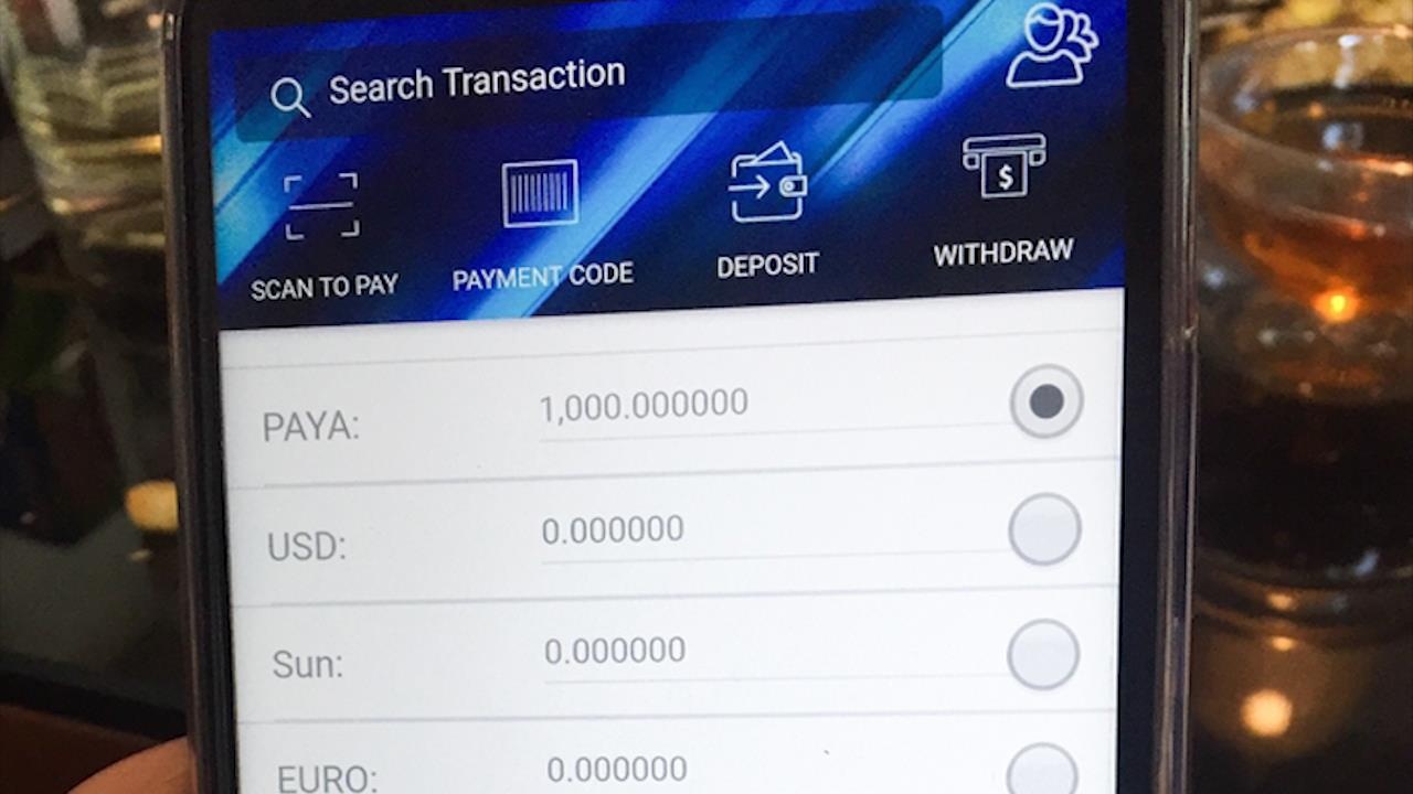 Canh bao dau tu tien ao Paya cho thu nhap 'khung' hinh anh