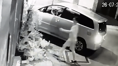 Di oto trom chau lan ho diep trong dem khuya hinh anh