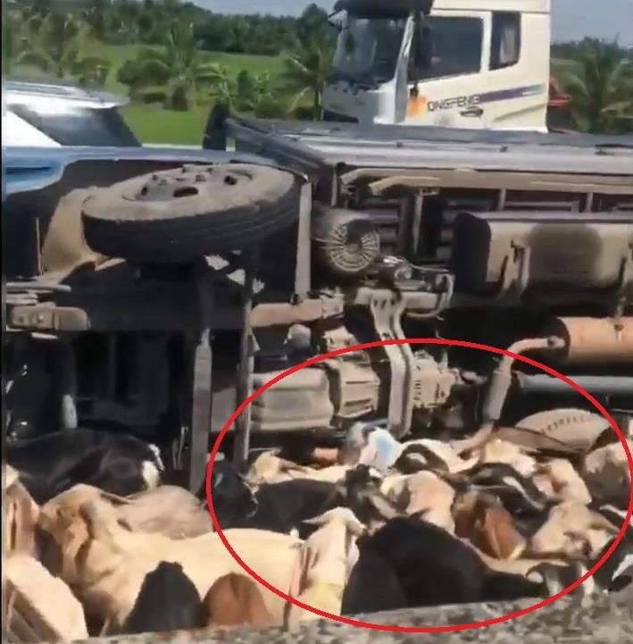 Xe tai lat nhao, de roi day duong tren cao toc Trung Luong - TP.HCM hinh anh