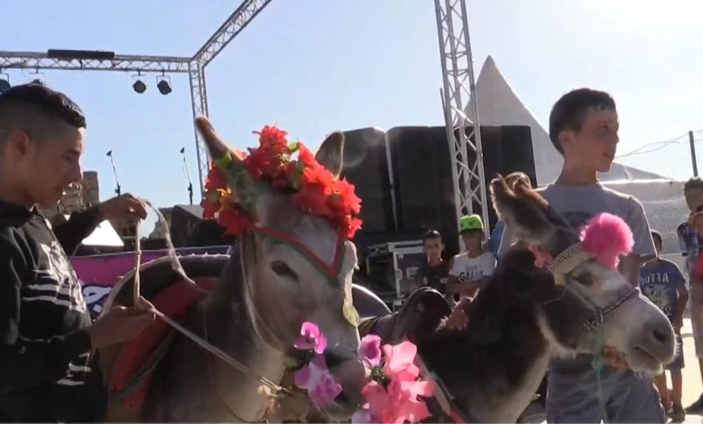 An tuong cuoc thi 'hoa hau lua' o Morocco hinh anh