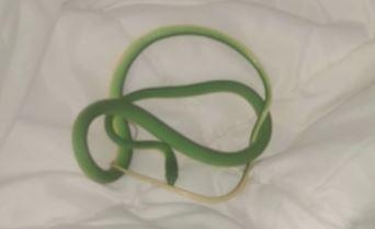 Nguoi phu nu tinh day trong khach san, thay ran bo tren tay hinh anh