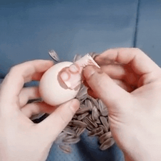 Nhung cach giau tien trong nha khong ai ngo toi hinh anh