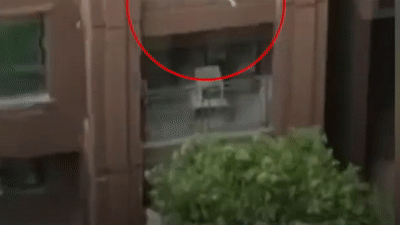 Hang chuc nguoi dung chan do cau be roi tu tang 5 o Trung Quoc hinh anh