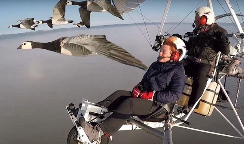 Phi cong du luon nguoi Phap bay tren troi cung nhung dan chim hinh anh