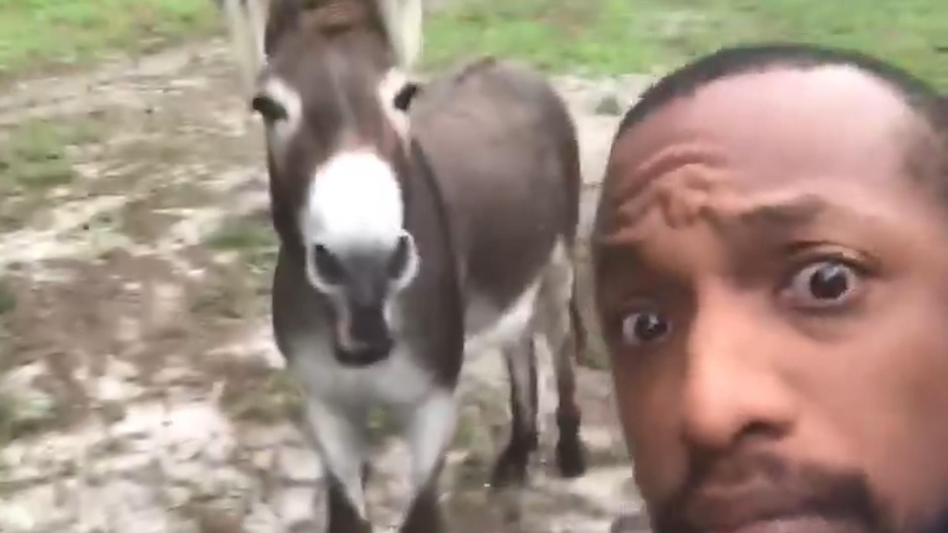 Nguoi dan ong hat nhac phim 'Vua su tu' cung mot con lua hinh anh