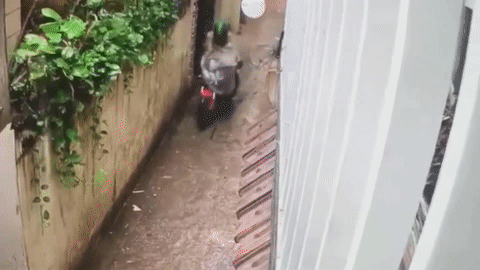 Ten trom nhoc nhan dat Ducati trong mua bao tai Ha Noi hinh anh