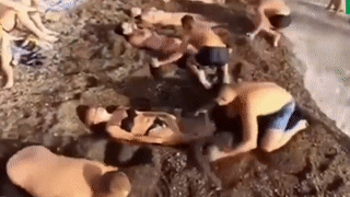 Cuoc thi dao ho chon vo tren bai bien o Nga hinh anh