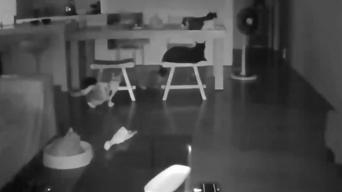 Dong dat manh tai Dai Loan lam rung chuyen gan 2.000 toa nha hinh anh