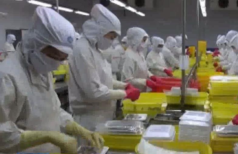 4 lo hang Viet Nam xuat khau sang Australia co chat cam hinh anh