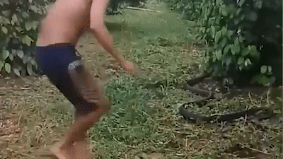 Nguoi dan ong tay khong bat ran ho mang khong lo hinh anh