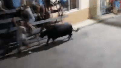 Du khach van song sot sau khi bi bo tot hat tung len khong trung hinh anh