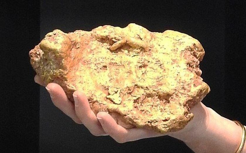 Dao thay khoi vang tu nhien hinh chan vit tri gia 1,78 ty hinh anh