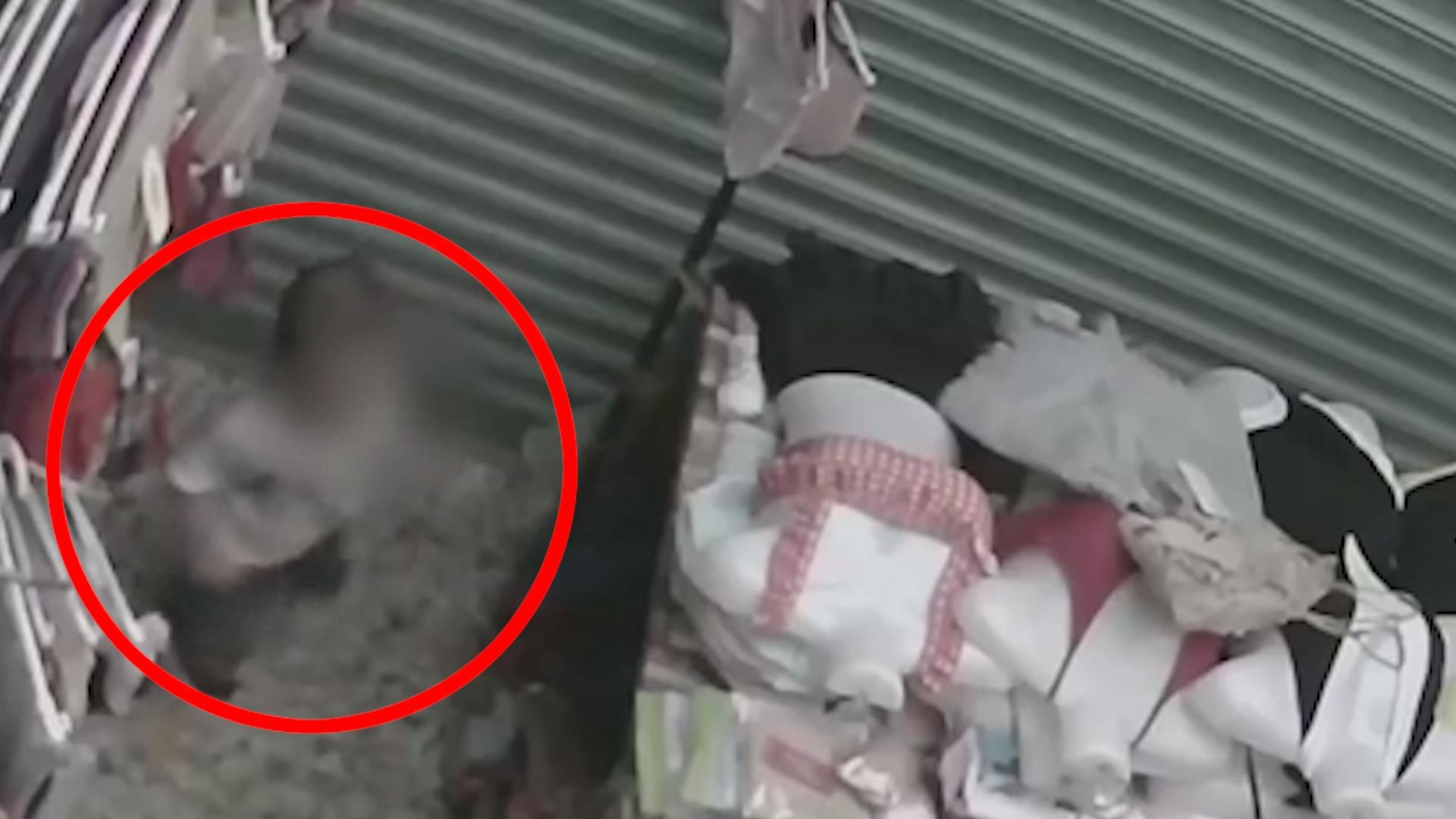 Bi me bo quen trong cua hang quan ao, cau be la het cau cuu hinh anh