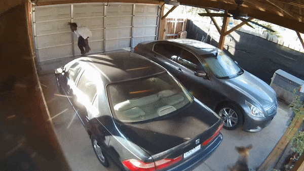 Vao gara trom do, ke gian phai 'phi than' chay tron cho duoi hinh anh