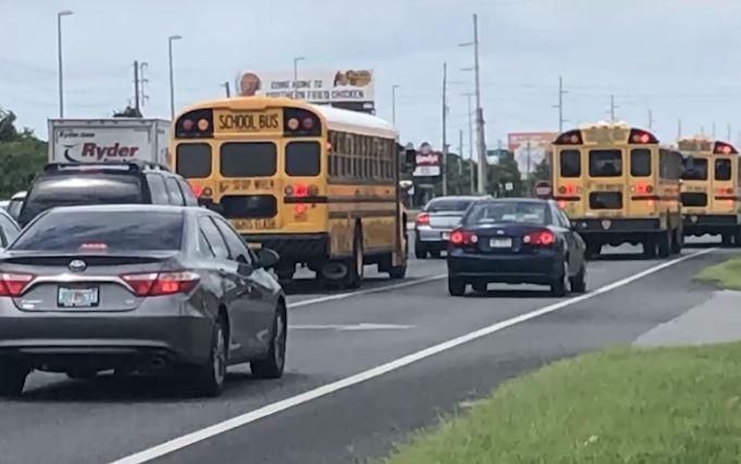 Tai xe bi bat khi co tinh can qua dan vit dang sang duong hinh anh