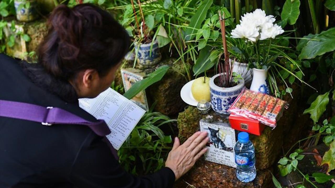 AFP quay le cau sieu tuong nho thu cung tai chua o Ha Noi hinh anh