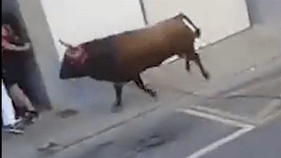 Bo tot noi dien huc chet nguoi trong le hoi duong pho o Tay Ban Nha hinh anh