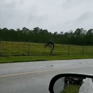 Ca sau treo rao cao, dot nhap can cu quan su My hinh anh