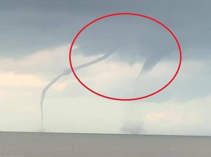 2 voi rong xuat hien cung luc tren bien Can Gio hinh anh