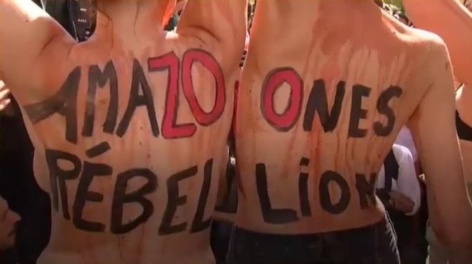 Bieu tinh tren toan the gioi ve tham hoa chay rung Amazon o Brazil hinh anh