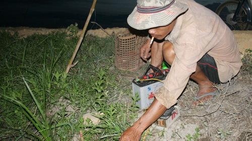 Nguy co tai nan vi dung dien diet chuot hinh anh