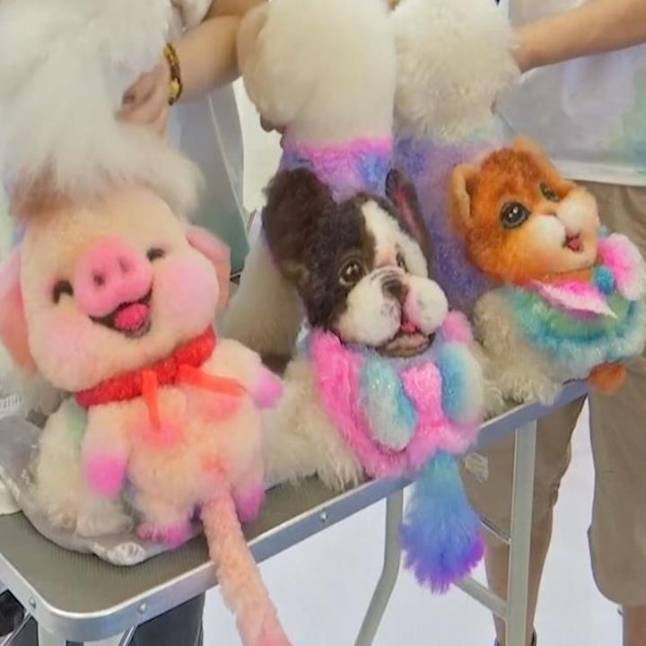 Nha giau Trung Quoc chi dam de 'cat long, nhuom toc' cho thu cung hinh anh