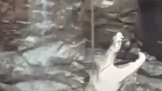 Nguoi dan ong lieu minh xuong gieng de cuu ca sau o An Do hinh anh