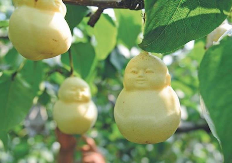 Nong dan TQ trong nhung qua le em be nhu trong 'Tay Du Ky' hinh anh