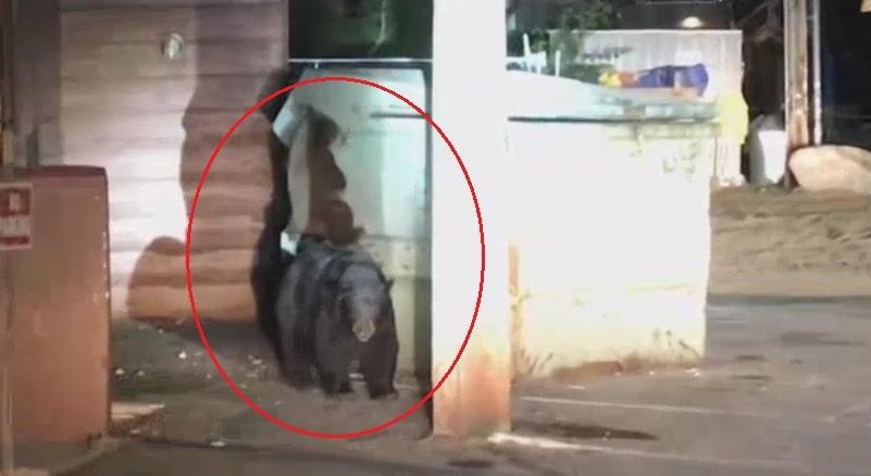 Cuu gau con ket trong thung rac vi ham an hinh anh