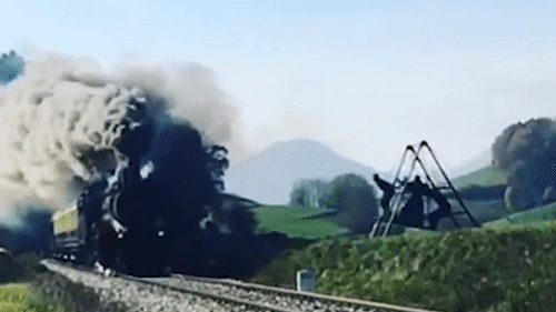 Nguoi dan ong danh du roi nhao lon qua doan tau hoa hinh anh