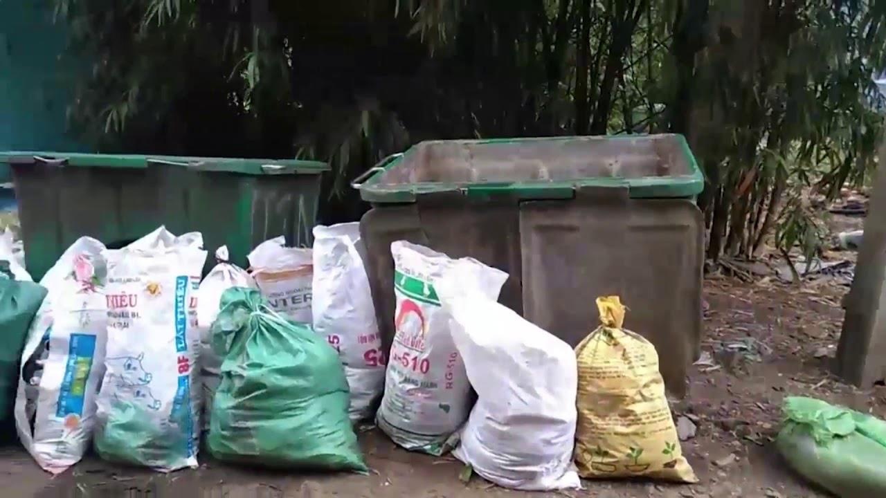 Xac heo chet duoc nguoi dan vut trong bai rac tam hinh anh