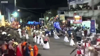 Voi ruoc le dien cuong lao vao dam dong du hoi, giam dap 17 nguoi hinh anh