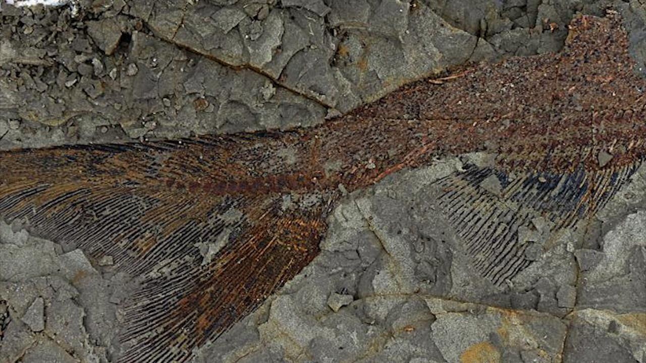 Hoa thach sau vu tieu hanh tinh lao vao Trai Dat 66 trieu nam truoc hinh anh