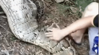 Tran Nam My khong lo bi doc nguoc, ep non tra con de hinh anh